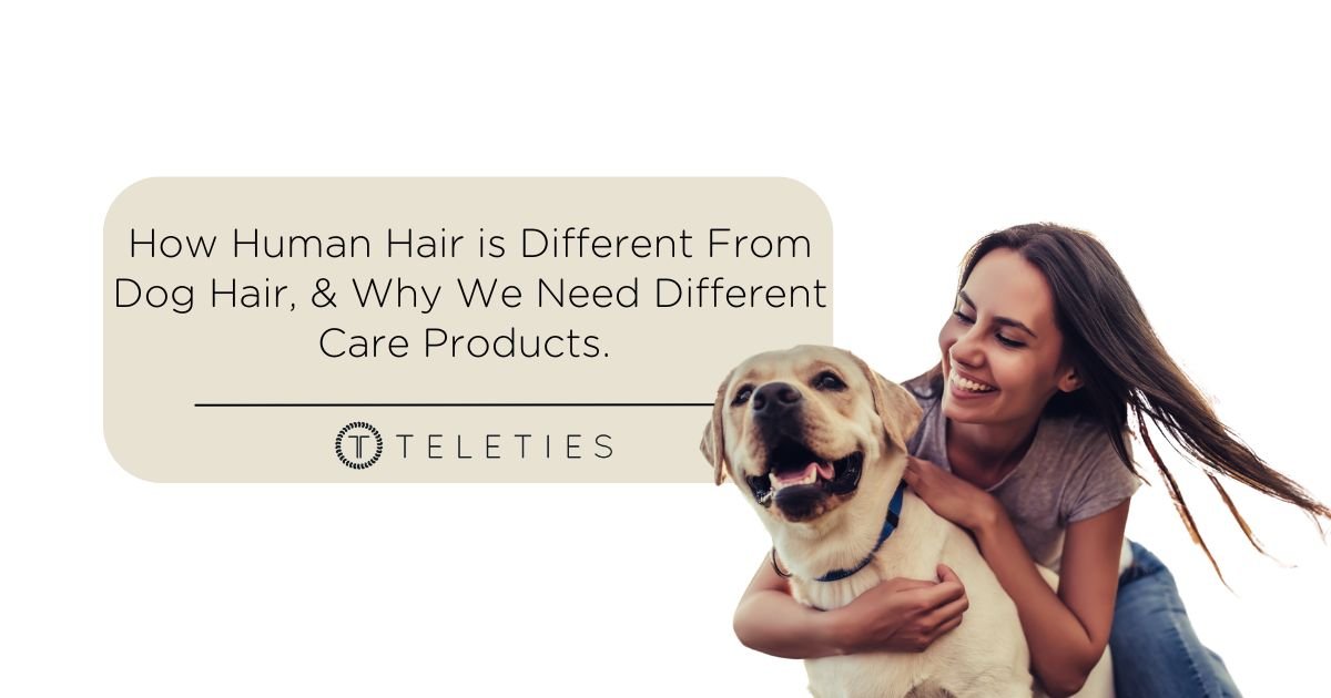 How a Dog’s Hair (Fur) is Different Than Human Hair - TELETIES